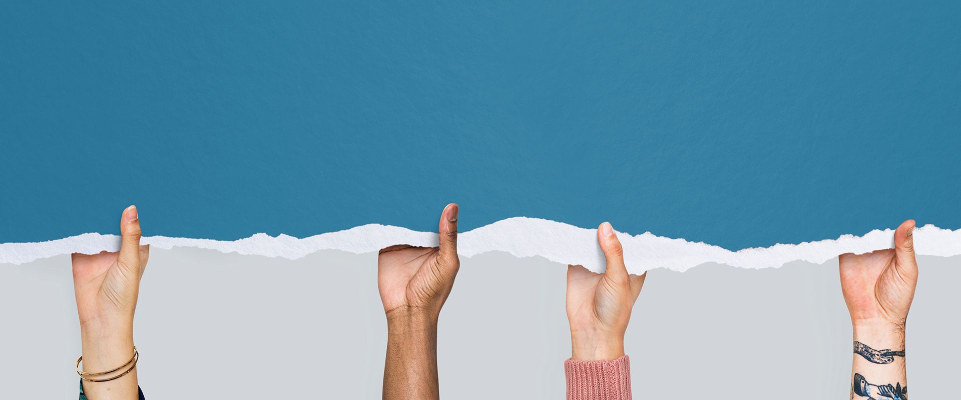 Programas Multidisciplinarios