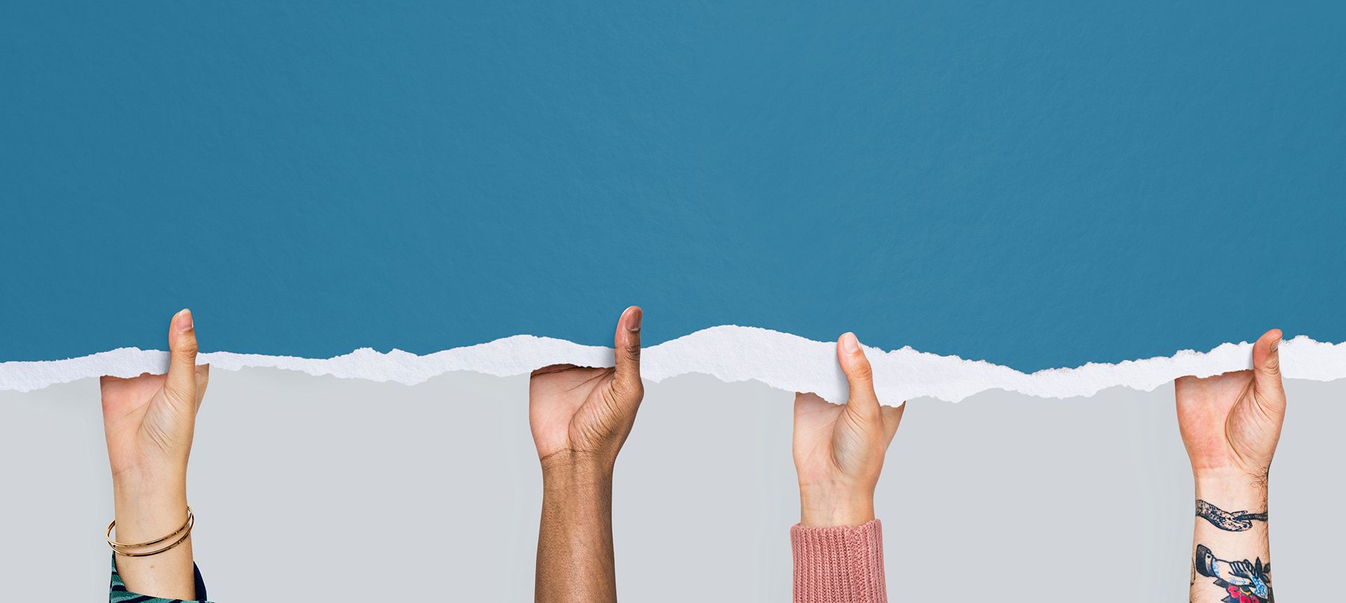 Programas Multidisciplinarios